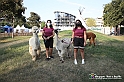 VBS_8140 - Inaugurazione 72.ma Fiera del Peperone di Carmagnola
